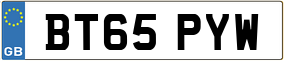 Truck License Plate
